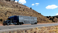 delivery truck freight